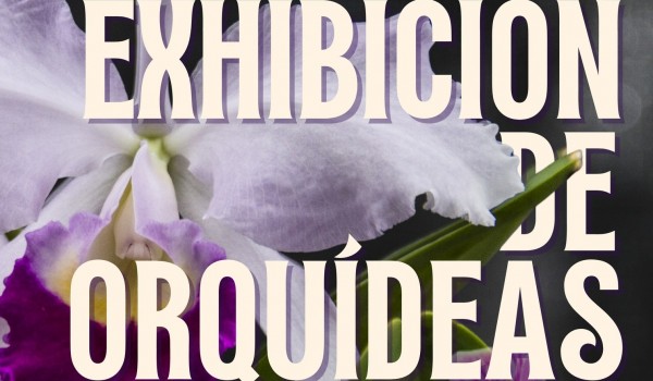 75 Exhibición de Orquídeas